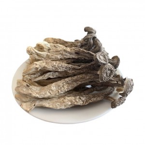 鹿茸菇特产干货农产品菌菇蘑菇脆脆菇炖汤
